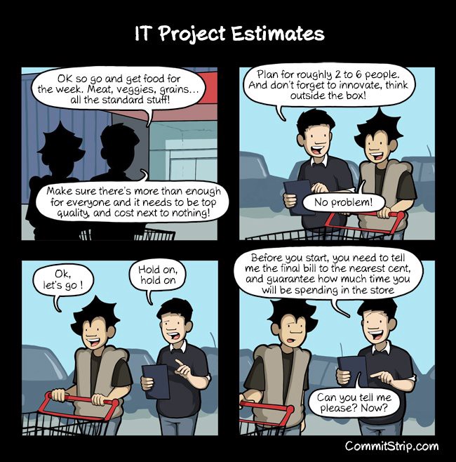 Project Estimates